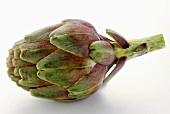 An Artichoke