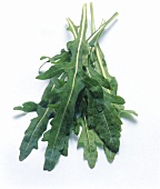 Arugula Leaves