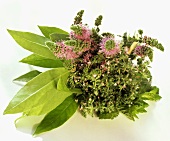 A Bouquet of Assorted Herbs