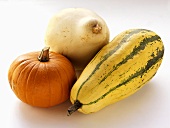 A Blue Hubbard Squash, a Delicata Squash and a Pumpkin