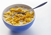 A Bowl of Cornflakes