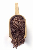 Brown Lentils in a Wooden Scoop