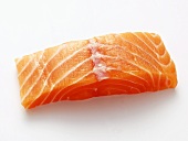 A Salmon Fillet