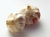 Two Bulbs of Garlic