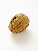 A Walnut