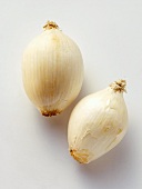 Two White Onions