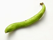 A Single Green Bean
