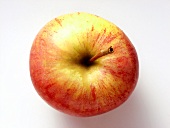 A Jonagold Apple