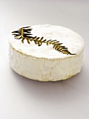 Camembert