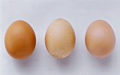 Three Brown Eggs