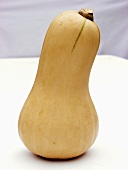 A Butternut Squash