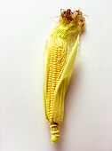 An Ear of Corn with Husk Partially Removed