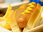A Hot Dog with Chips on a Plate