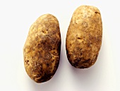 Zwei grosse Kartoffeln