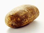 A Large Potato