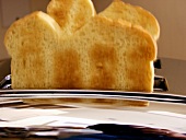 Two Slices of White Toast in a Toaster