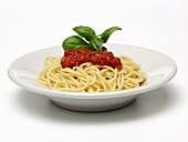 Bowl of Spaghetti with Tomato Sauce and Fresh Basil