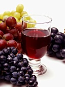 Glas Rotwein und verschiedene Traubensorten