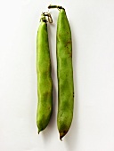 Two Broad Beans