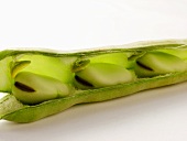 Broad Beans in a Pod