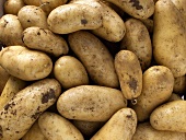 Kartoffeln (bildfüllend)
