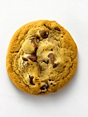 One Chocolate Chip Cookie