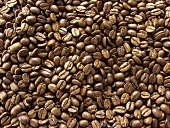 Coffee Beans (Full Frame)