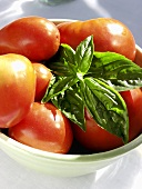 Tomaten mit Basilikum in weisser Schale