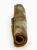 Indian Cinnamon Stick