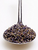 Spoonful of Dried Lavender