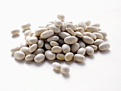 Dried White Navy Beans
