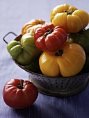 Heirloom Tomaten in einem Salatsieb
