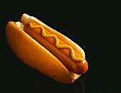 Hot Dog on a Bun with Mustard; Black Background