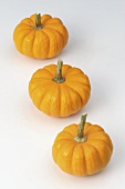 Three baby pumpkins