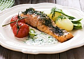 Salmon fillet with dill and herb sauce