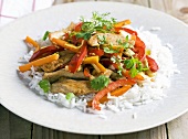 Chicken with peppers and rice