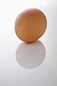 Ein braunes Ei