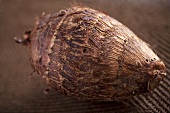 Malanga root (close-up)