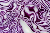 A sliced red cabbage (detail)