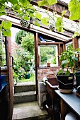 A greenhouse in a garden