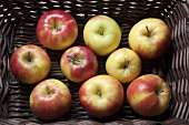 Mitsu apples at the market in New Jersey (USA)