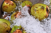 Coconuts in water