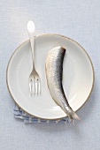 A herring on a plate