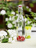 Redcurrants in a water bottle on a garden table