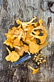 Clean chanterelle mushrooms on a wooden surface (seen from above)
