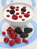 Yoghurt with fresh berries