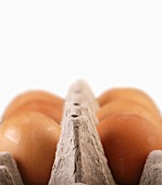 Braune Eier in Eierkarton (Nahaufnahme)