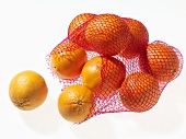 Oranges in a net