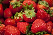 Viele frische Erdbeeren