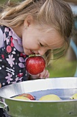 A girl bobbing for apples